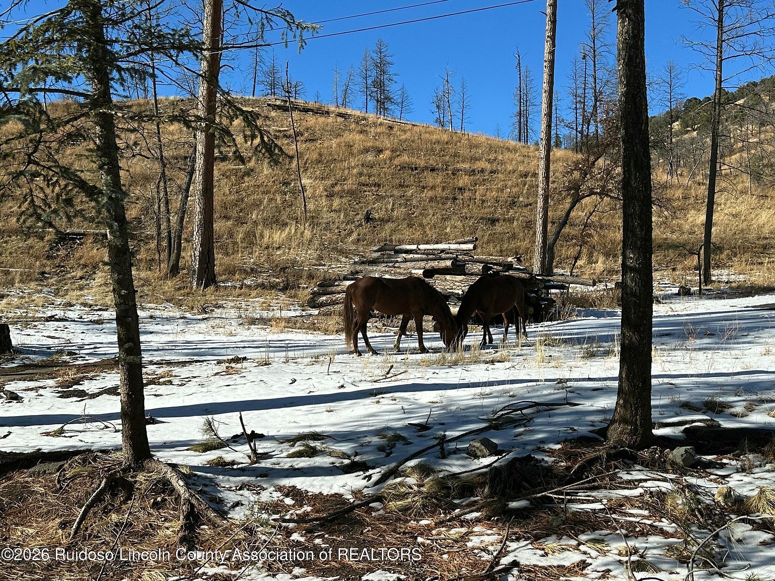 155 Jarratt Loop Ruidoso, NM 88345 - Thumbnail 4
