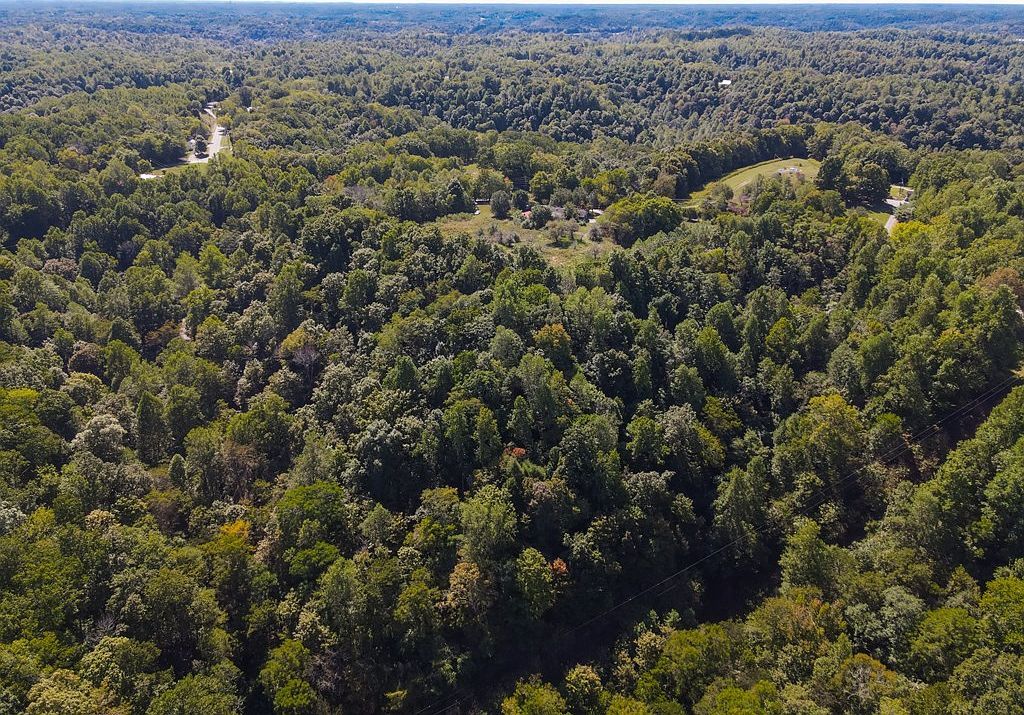 0 NE New Salem Rd Gainesboro, TN 38562 - Thumbnail 4