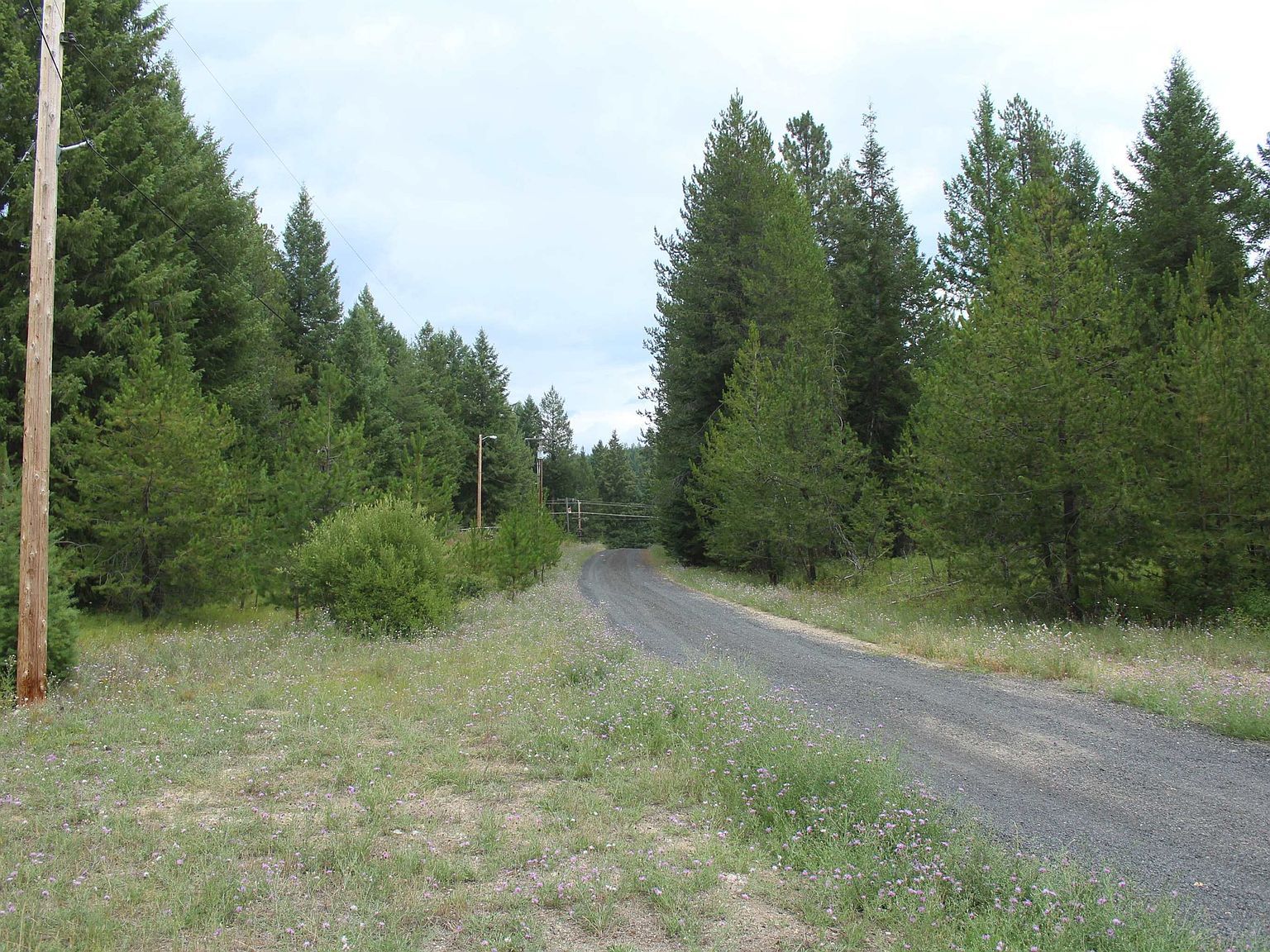 1XX Tennant Rd Newport, WA 99156 - Thumbnail 4