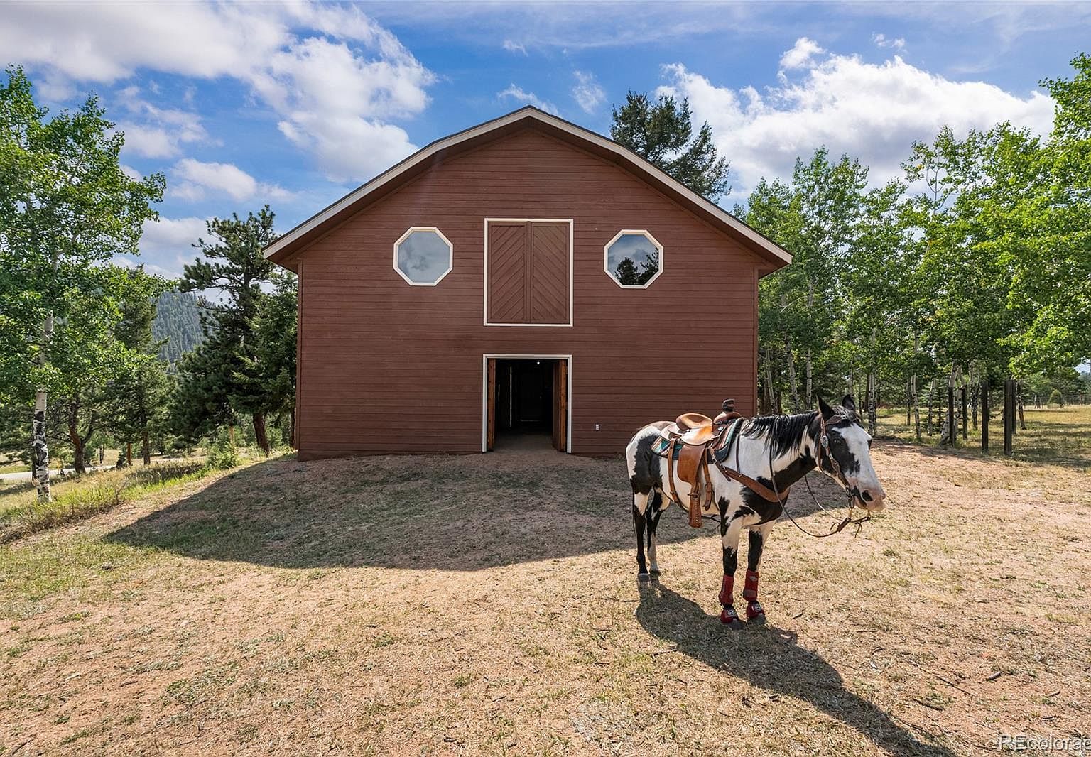 48 Allen Cir Pine, CO 80470 - Thumbnail 4