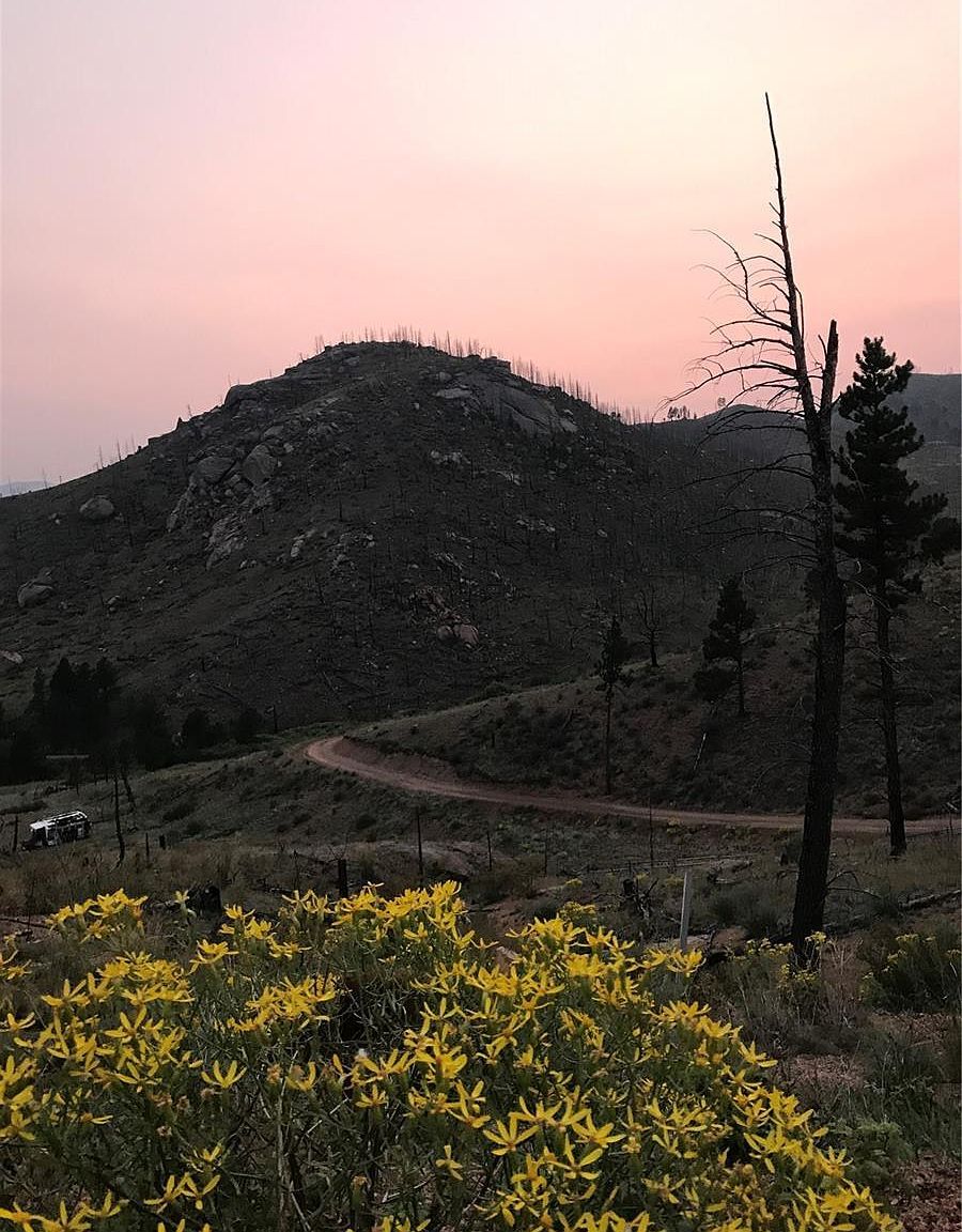 16280 Cochise Trl Pine, CO 80470 - Thumbnail 4
