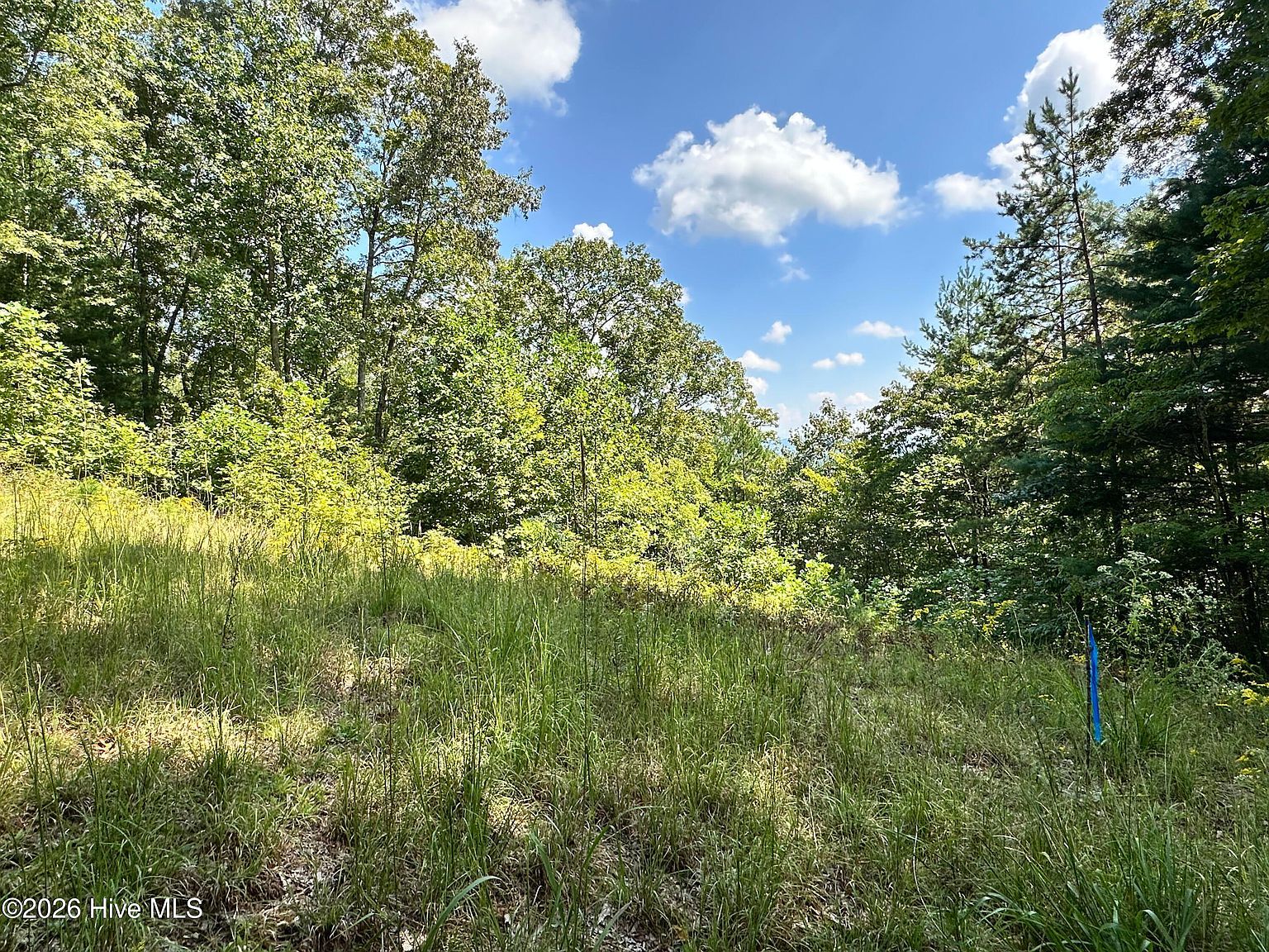 872 Majestic Mountain Trail LOT T-11, T-12 Murphy, NC 28906 - Thumbnail 4