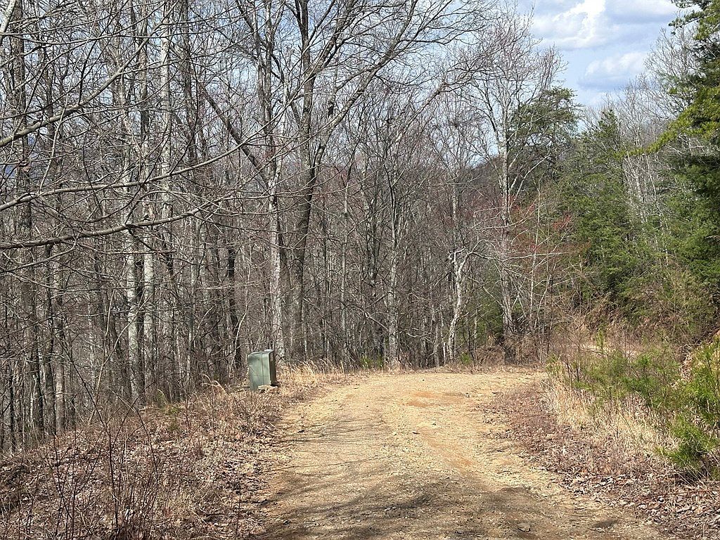 Tbd Pack Mountain Road Murphy, NC 28906 - Thumbnail 4