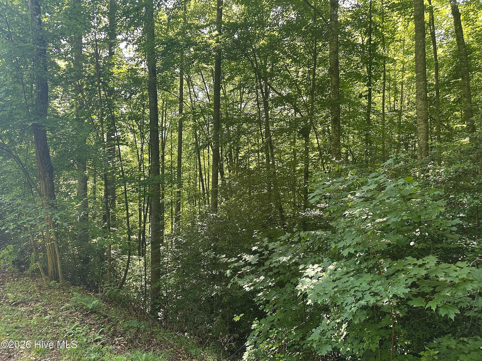 6 Bartram Trail Road Franklin, NC 28734 - Thumbnail 4