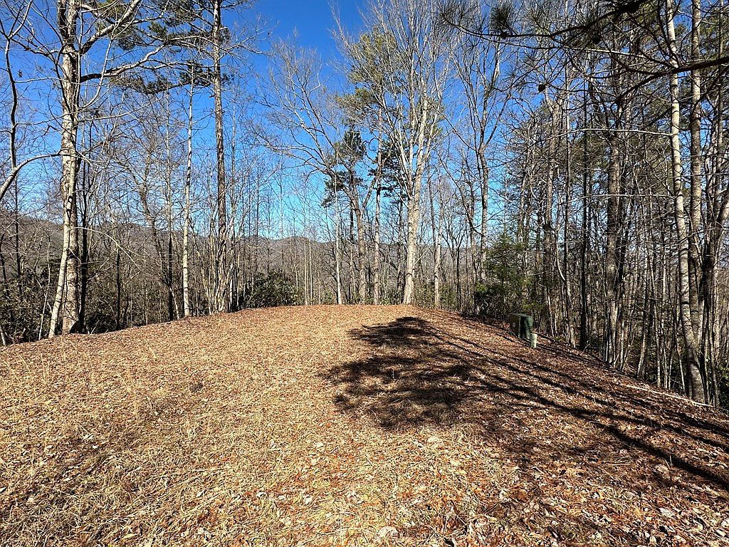 (Undisclosed Address) Marble, NC 28905 - Thumbnail 4