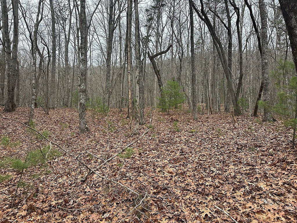 00 Marrestop Murphy, NC 28906 - Thumbnail 4