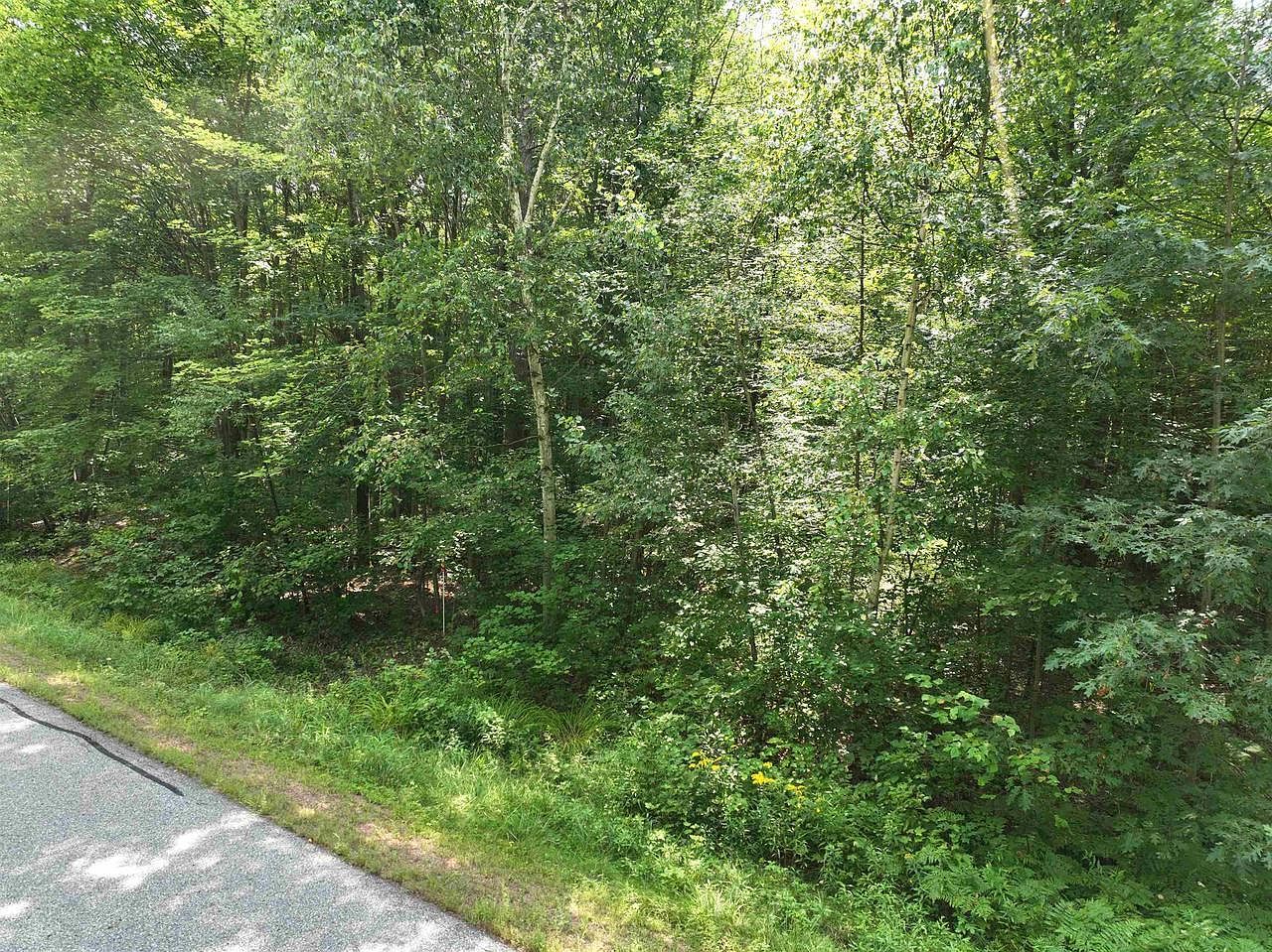16 Burma Rd Mosinee, WI 54455 - Thumbnail 4