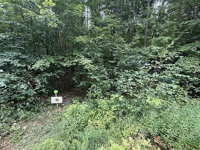 13 Burma Rd Mosinee, WI 54455 - Thumbnail 4