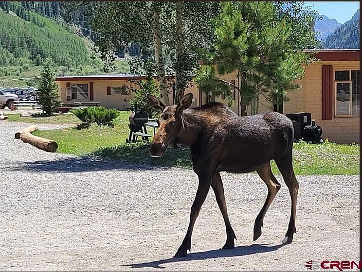 664 Greene St Silverton, CO 81433 - Thumbnail 4
