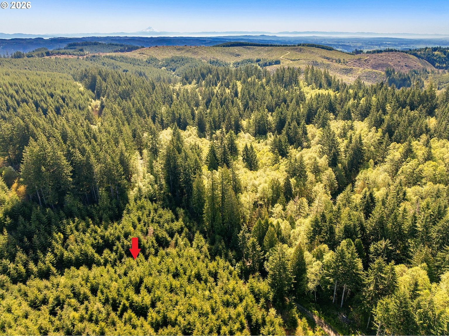 0 NW Hidden Mountain Dr Banks, OR 97106 - Thumbnail 4