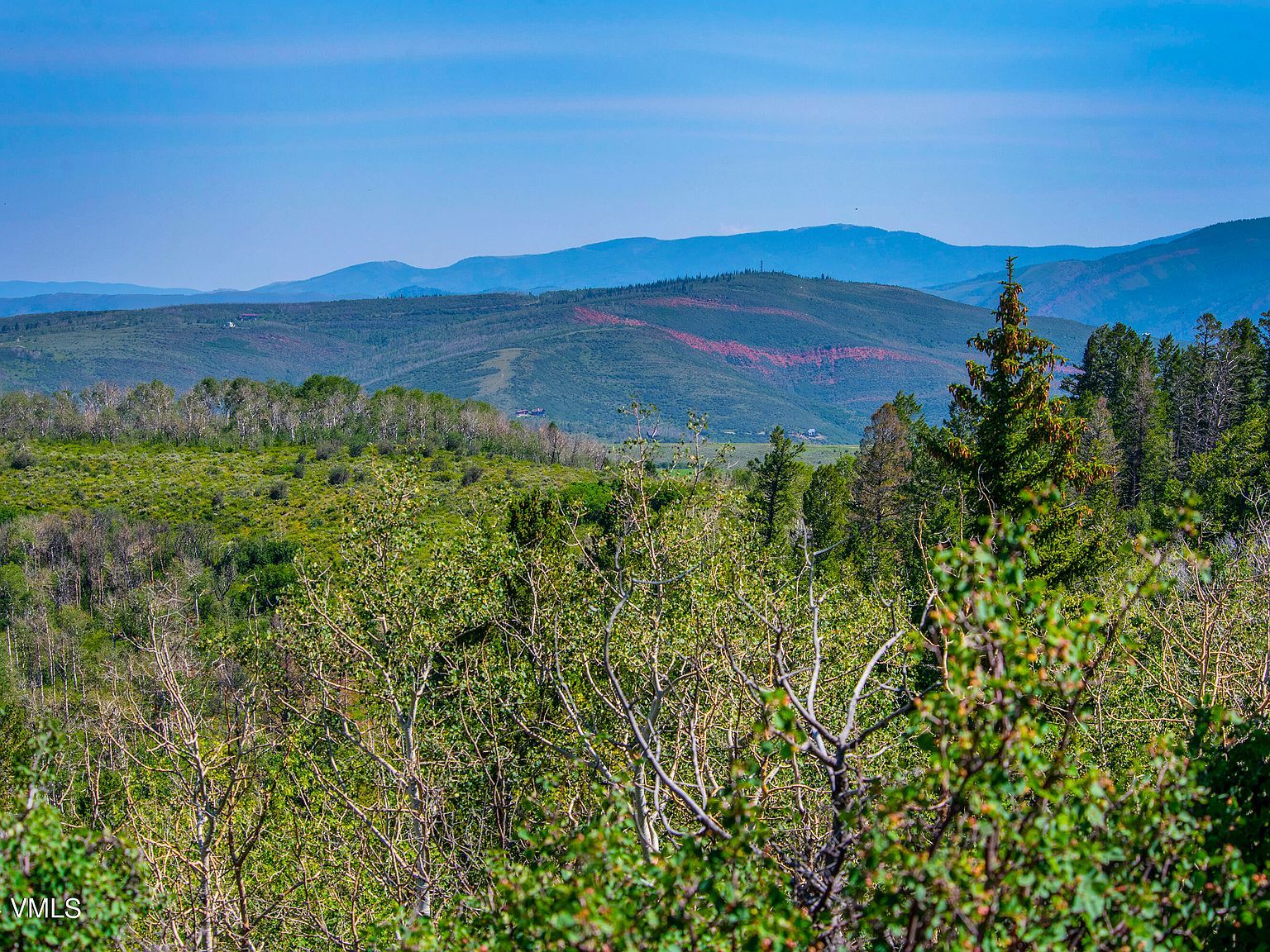 907 Webb Peak Edwards, CO 81632 - Thumbnail 4