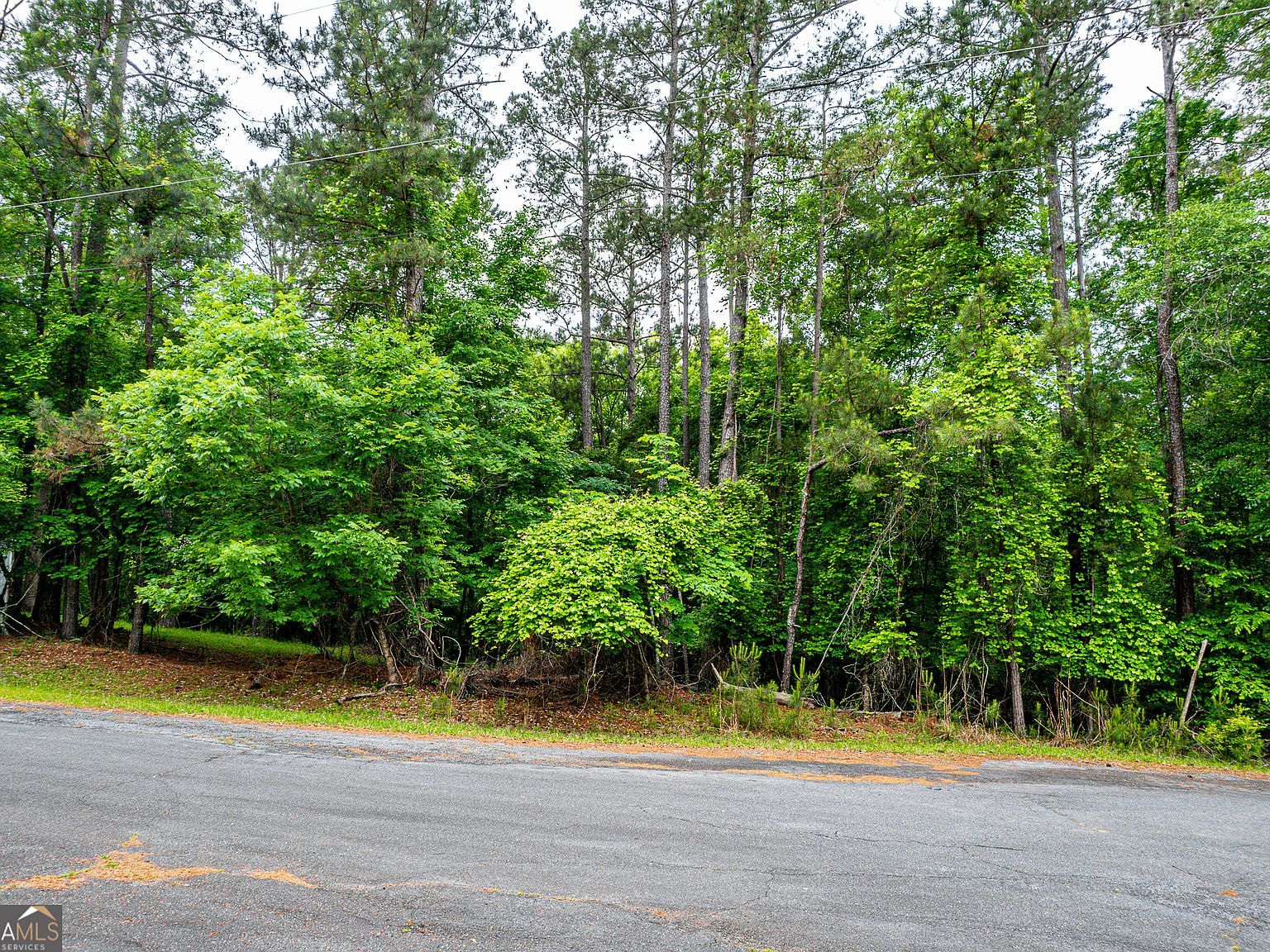 0 S Bream Ct Eatonton, GA 31024 - Thumbnail 4