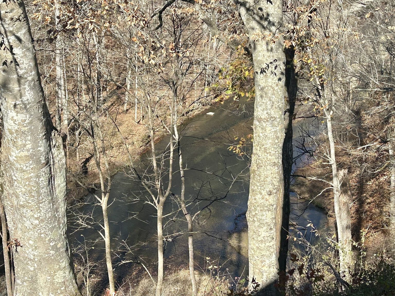 23 River Bluff Dr E Manchester, TN 37355 - Thumbnail 4