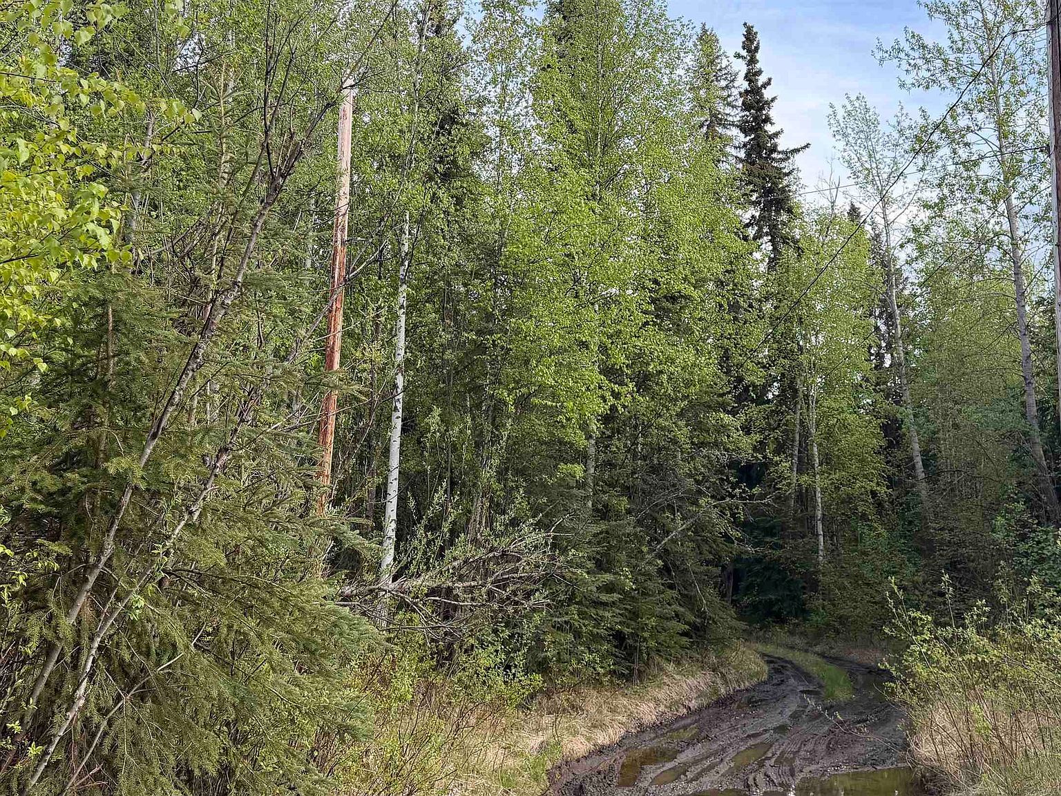 278 Narrow View Ln Fairbanks, AK 99712 - Thumbnail 4