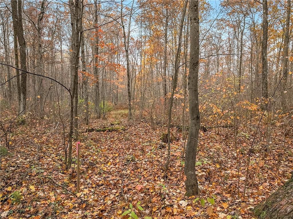 0 N Dream Catcher Rd Hayward, WI 54843 - Thumbnail 4