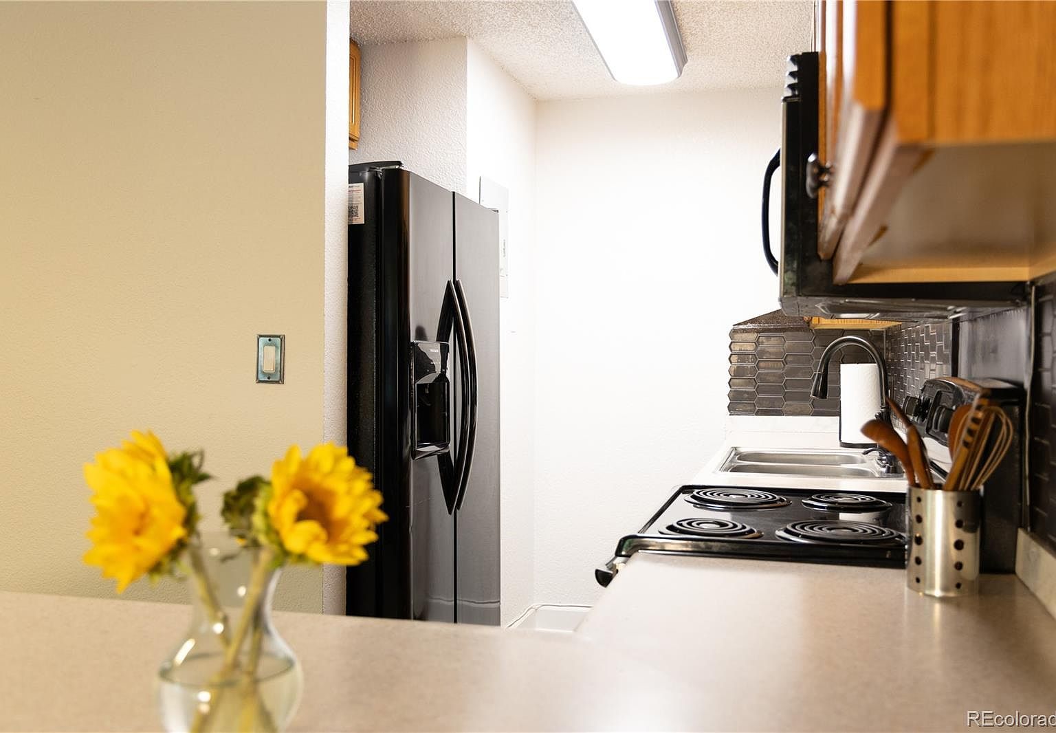 857 S Van Denver, CO 80228 - Thumbnail 4