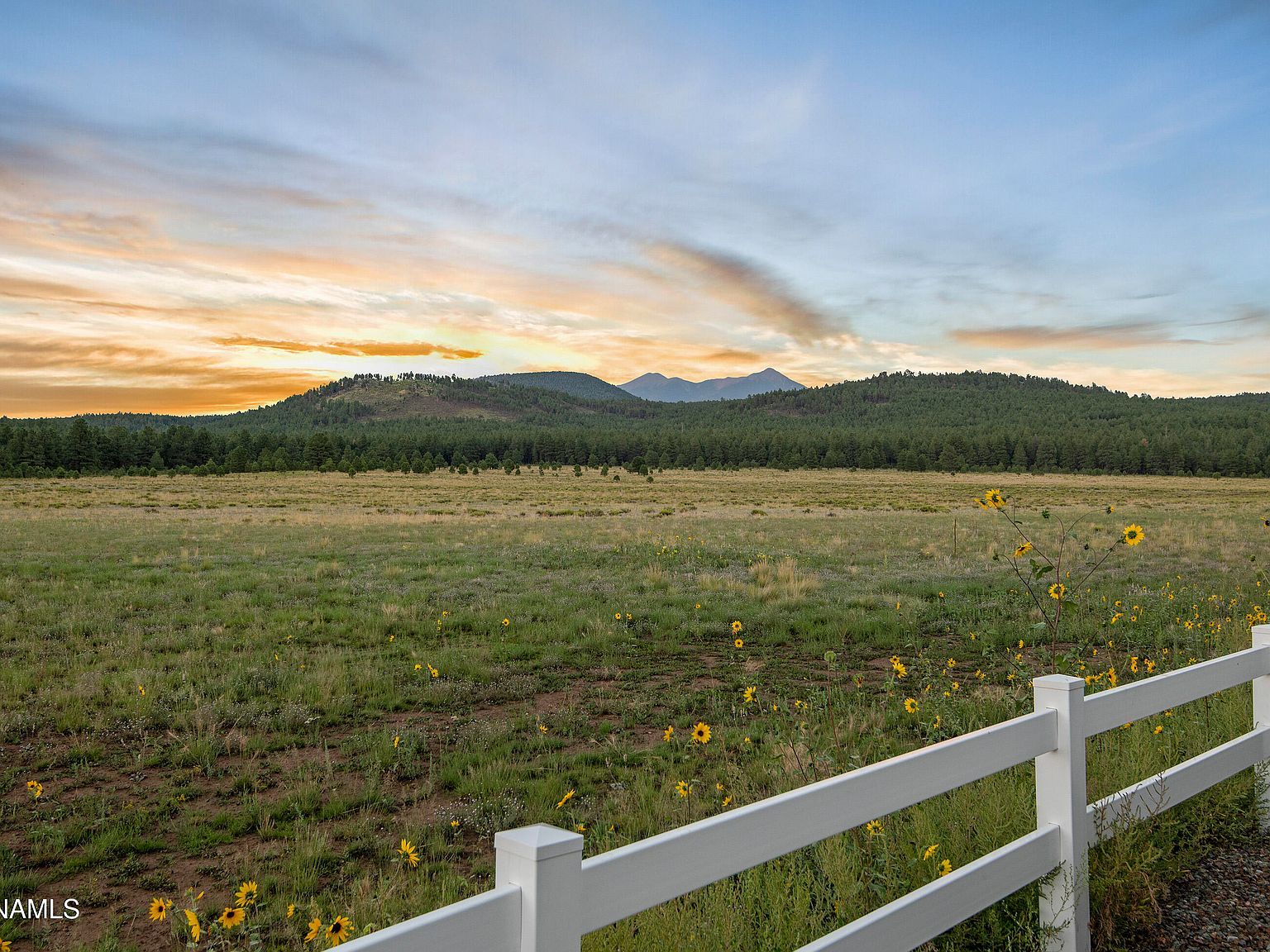 12250 Curtis Ct Bellemont, AZ 86015 - Thumbnail 4