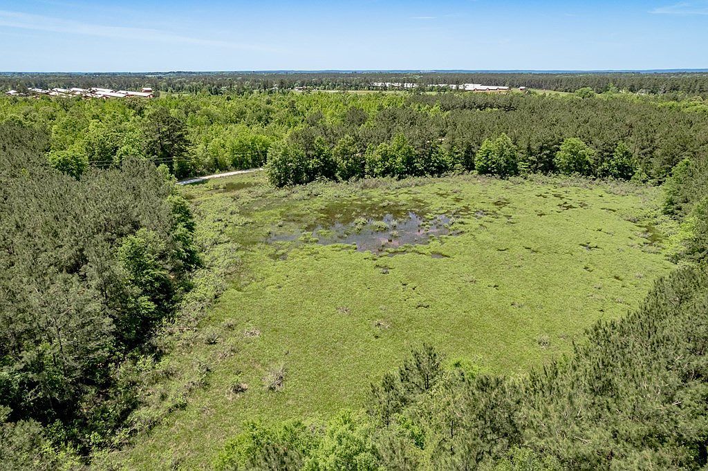 443 Lakepoint Psge Douglass, TX 75943 - Thumbnail 4