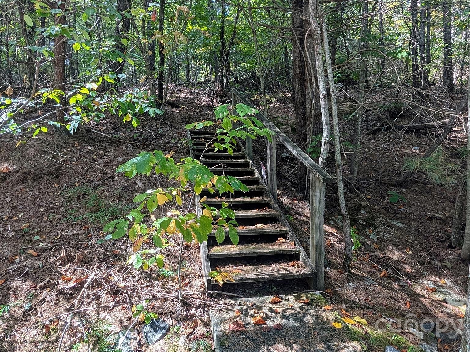 101 Scenic Dr #74 Flat Rock, NC 28731 - Thumbnail 4