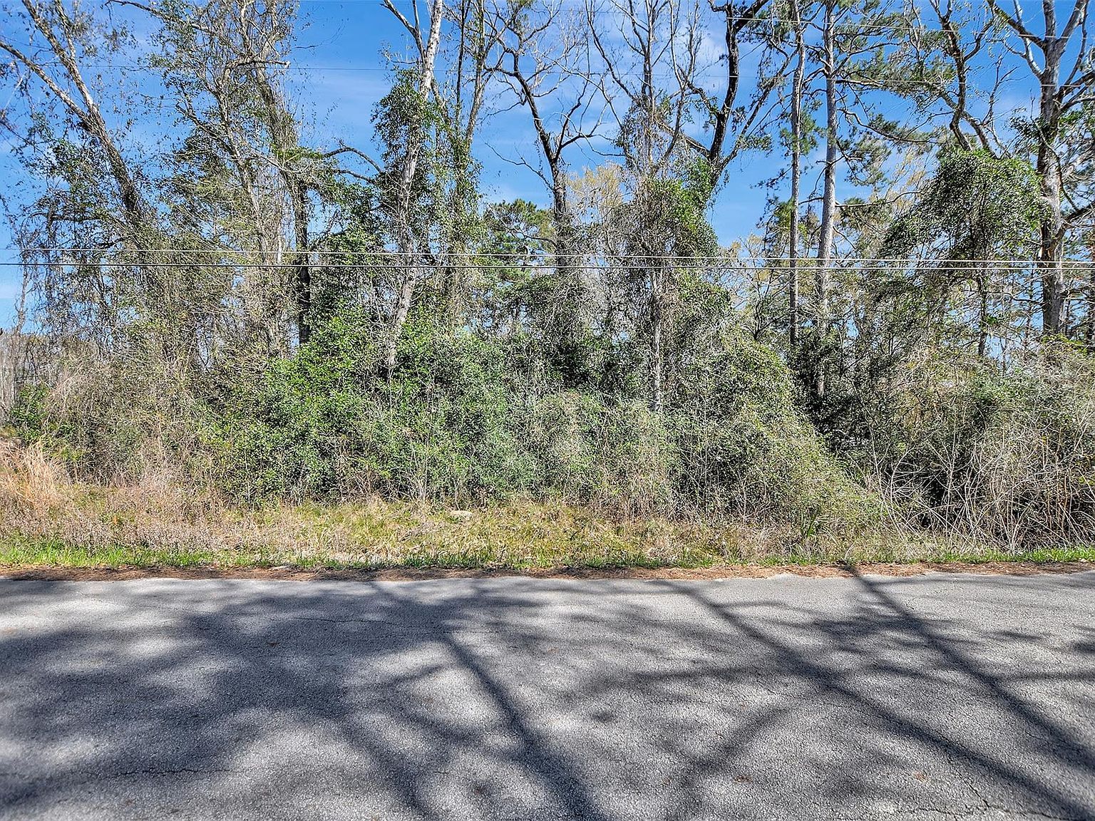 LOT 112 White Birch Ln Conroe, TX 77385 - Thumbnail 4