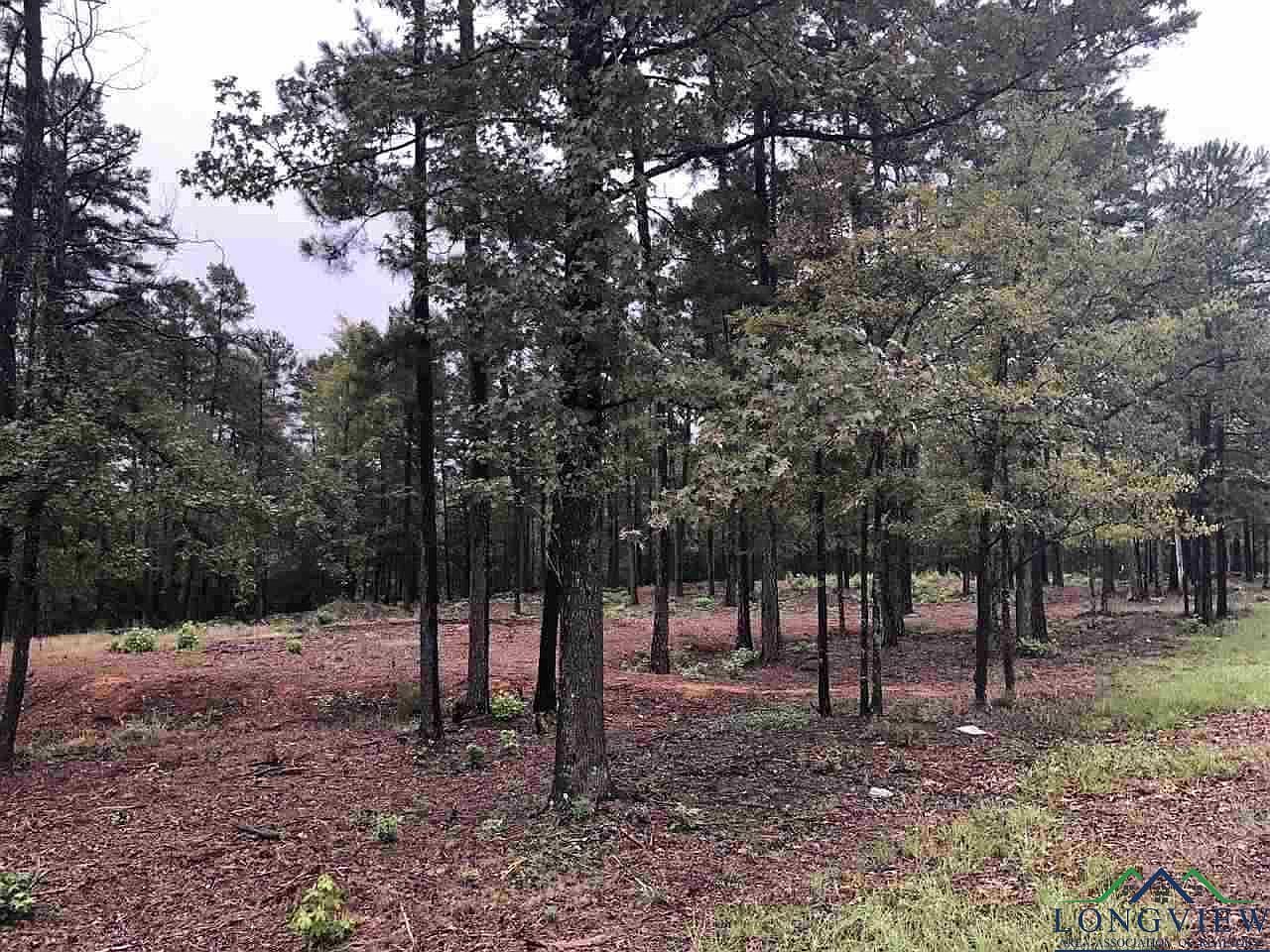 LOT 4 Lake Gladewater Rd Gladewater, TX 75647 - Thumbnail 4