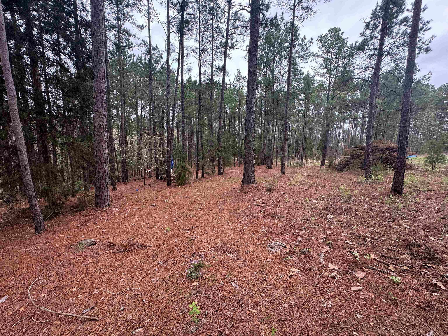 Lots 9 11 Lake Gladewater Rd Gladewater, TX 75647 - Thumbnail 4