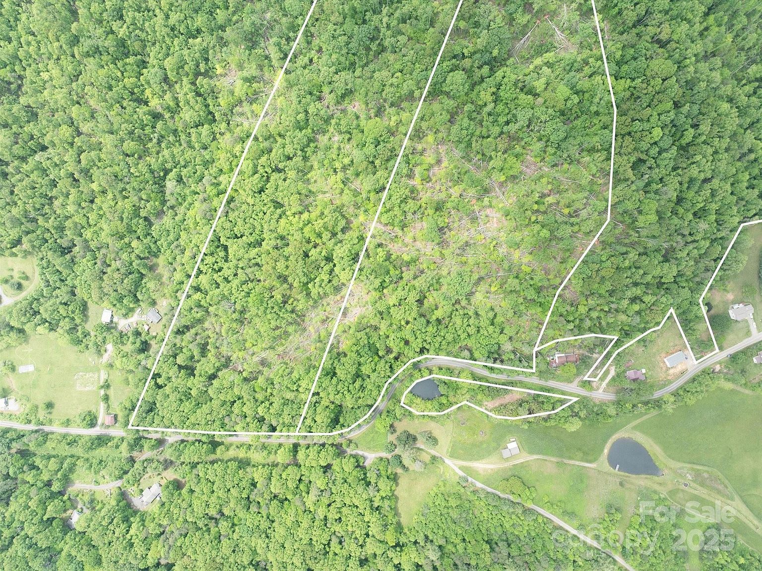 99999 Moody Cove Rd #3 Weaverville, NC 28787 - Thumbnail 4