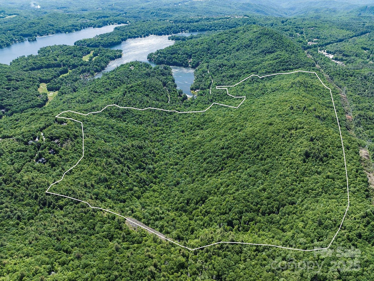 9999 N Club Blvd Lake Toxaway, NC 28747 - Thumbnail 4