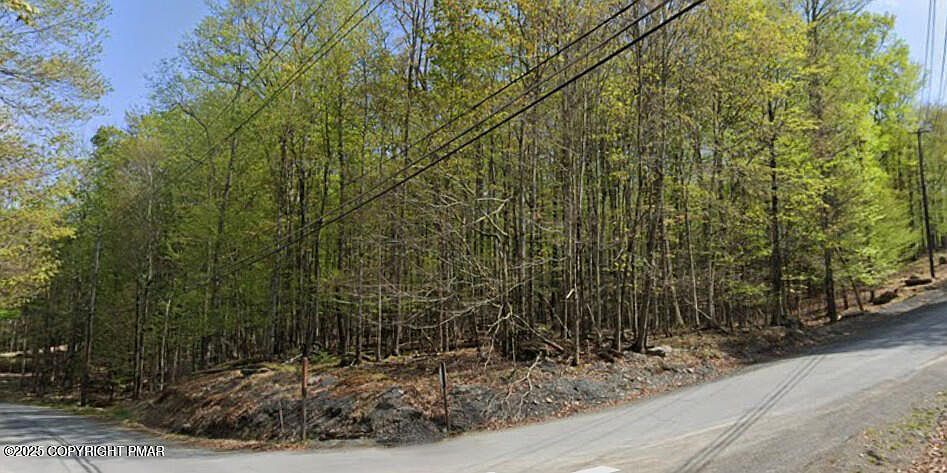 597 Upper Playground Trl Hawley, PA 18428 - Thumbnail 4