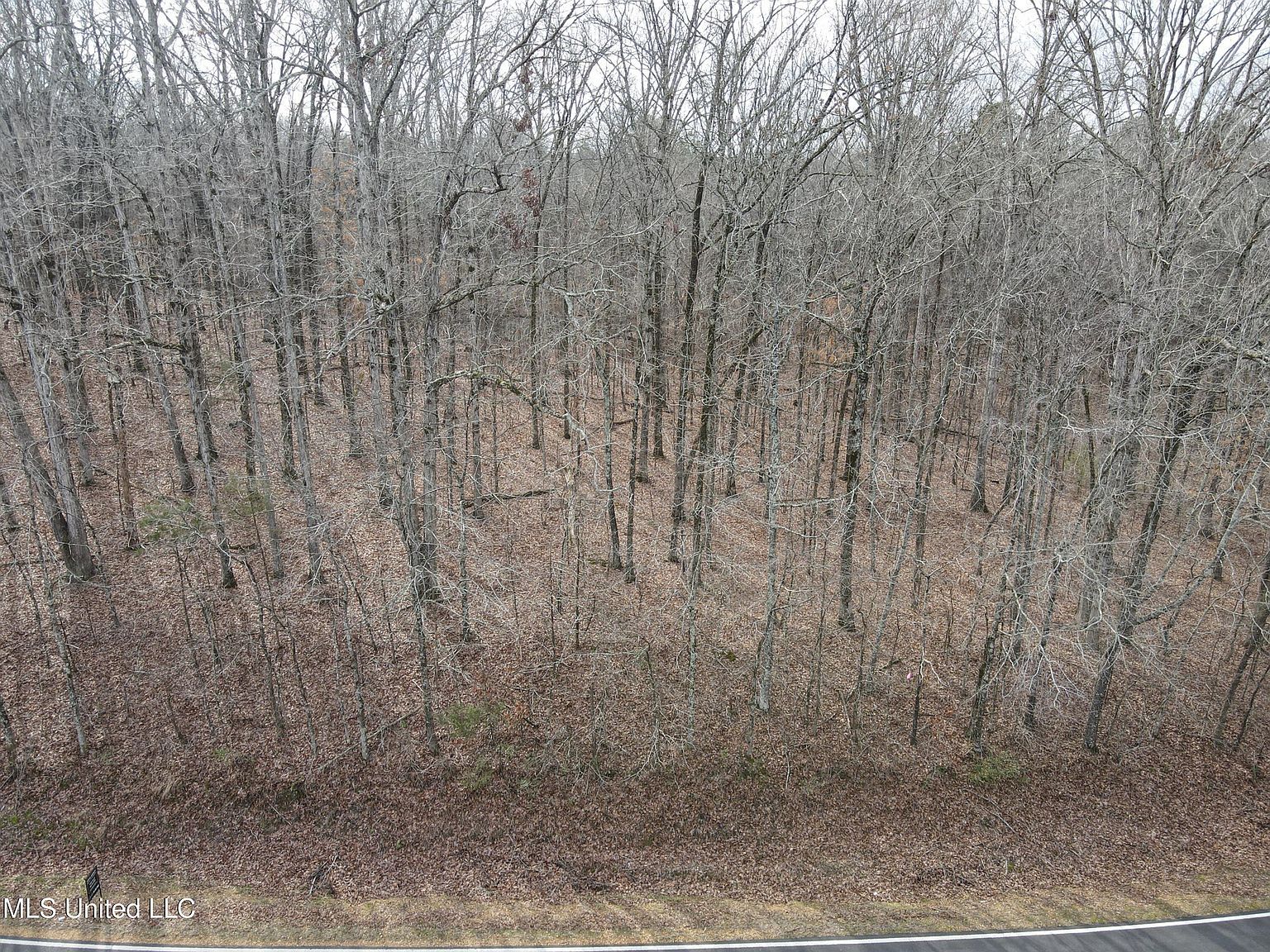 Woolsey Rd Lot 8 Olive Branch, MS 38654 - Thumbnail 4
