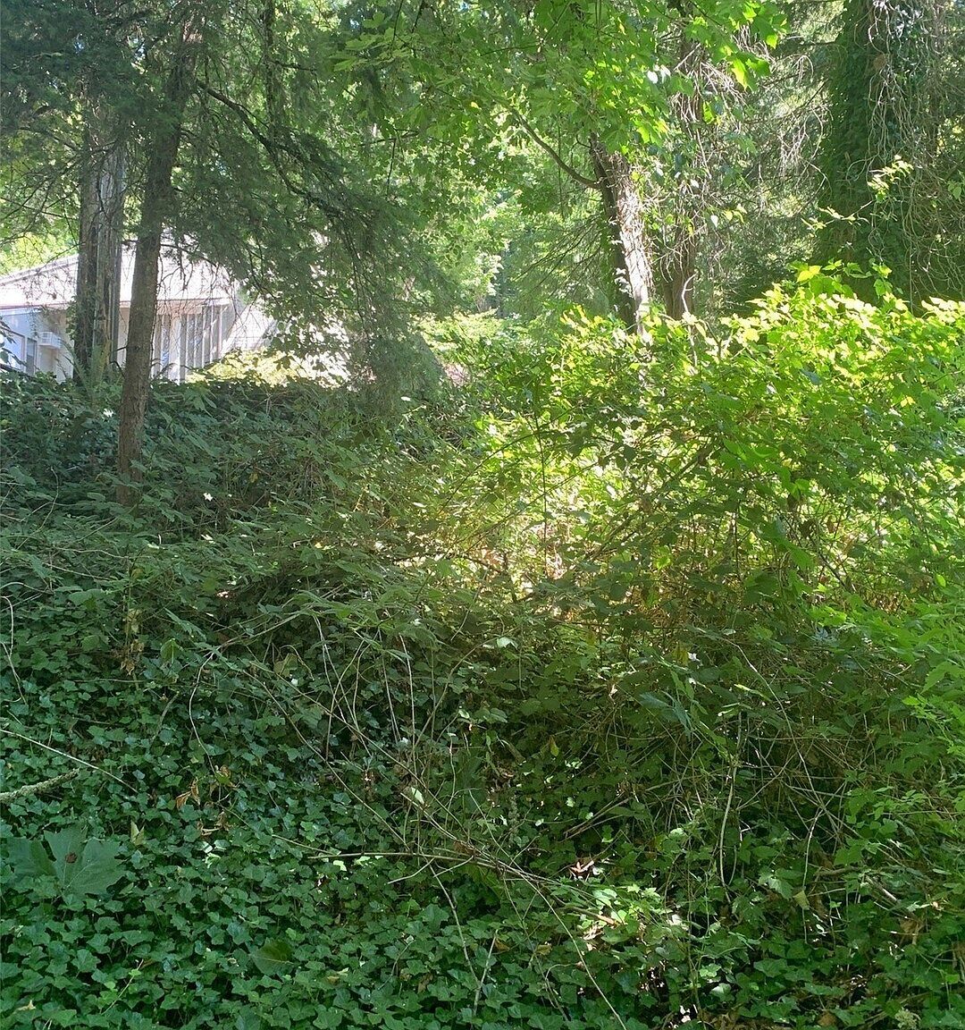 9167 SE 64th St Mercer Island, WA 98040 - Thumbnail 4