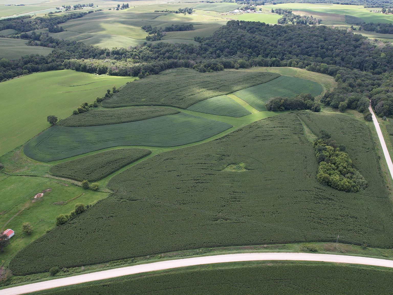 24807 Neon Rd West Union, IA 52175 - Thumbnail 4