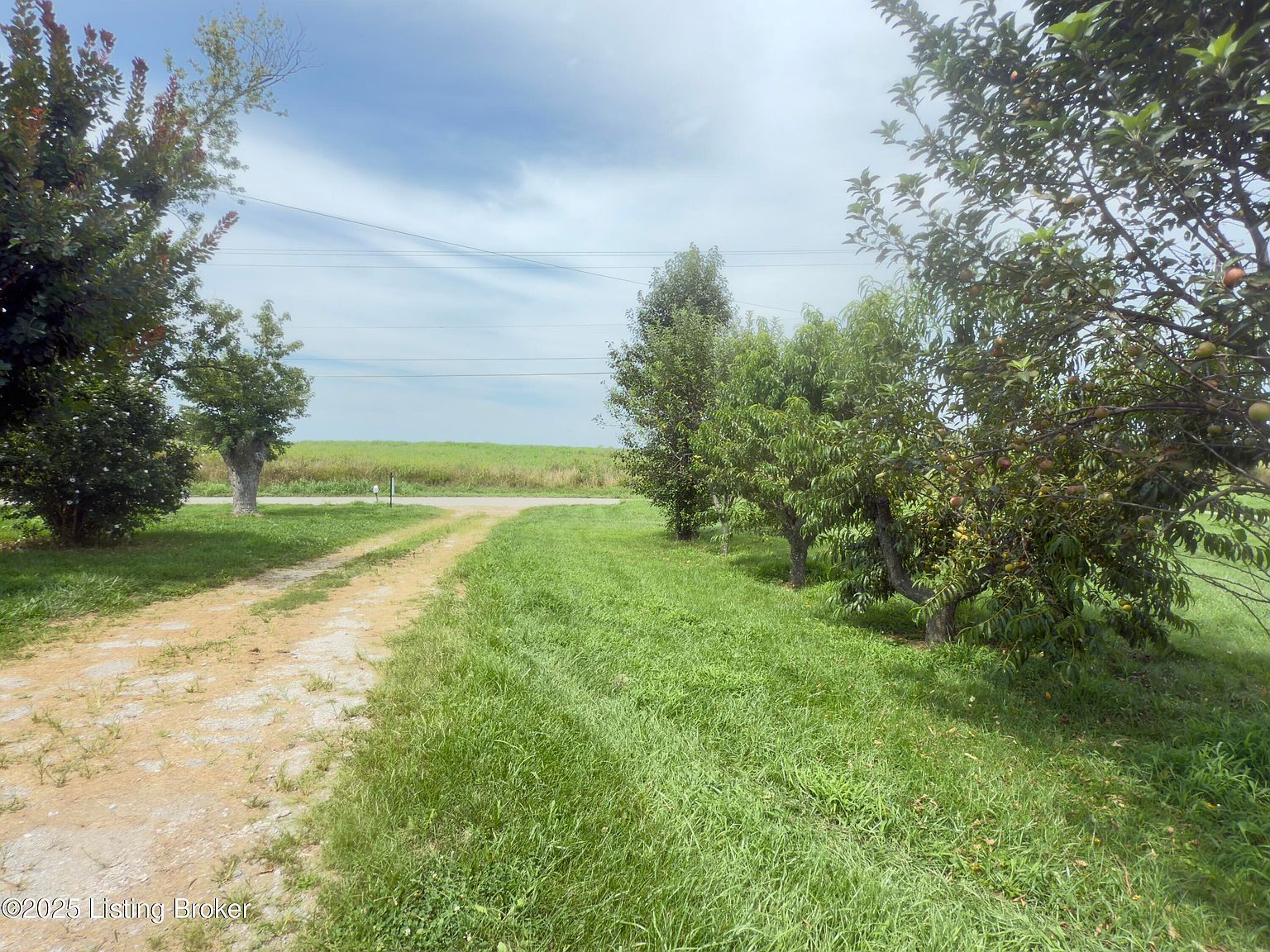 3445 Highway 227 Worthville, KY 41098 - Thumbnail 4