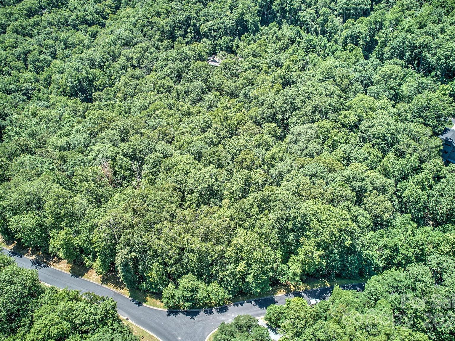 567 Shining Rock Path Horse Shoe, NC 28742 - Thumbnail 4