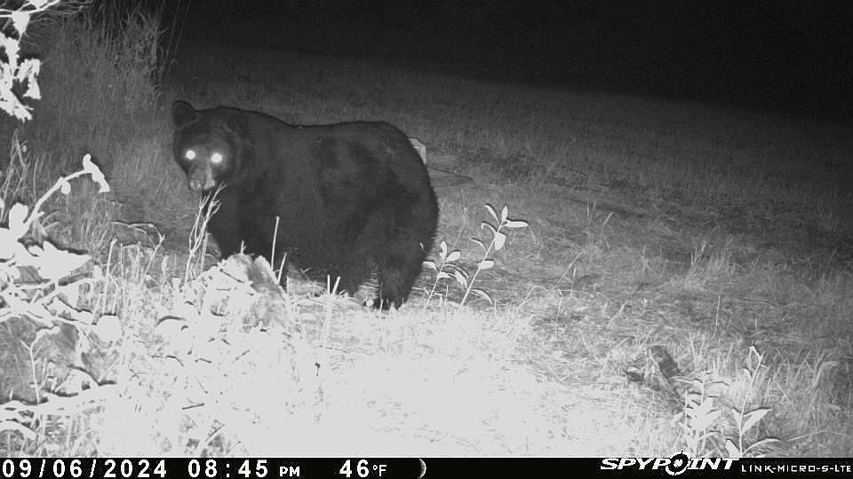 E21504 Karow Rd Augusta, WI 54722 - Thumbnail 4