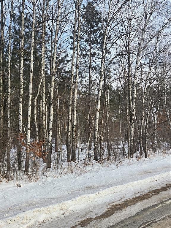 0 County Highway G Holcombe, WI 54745 | Land/Lot
