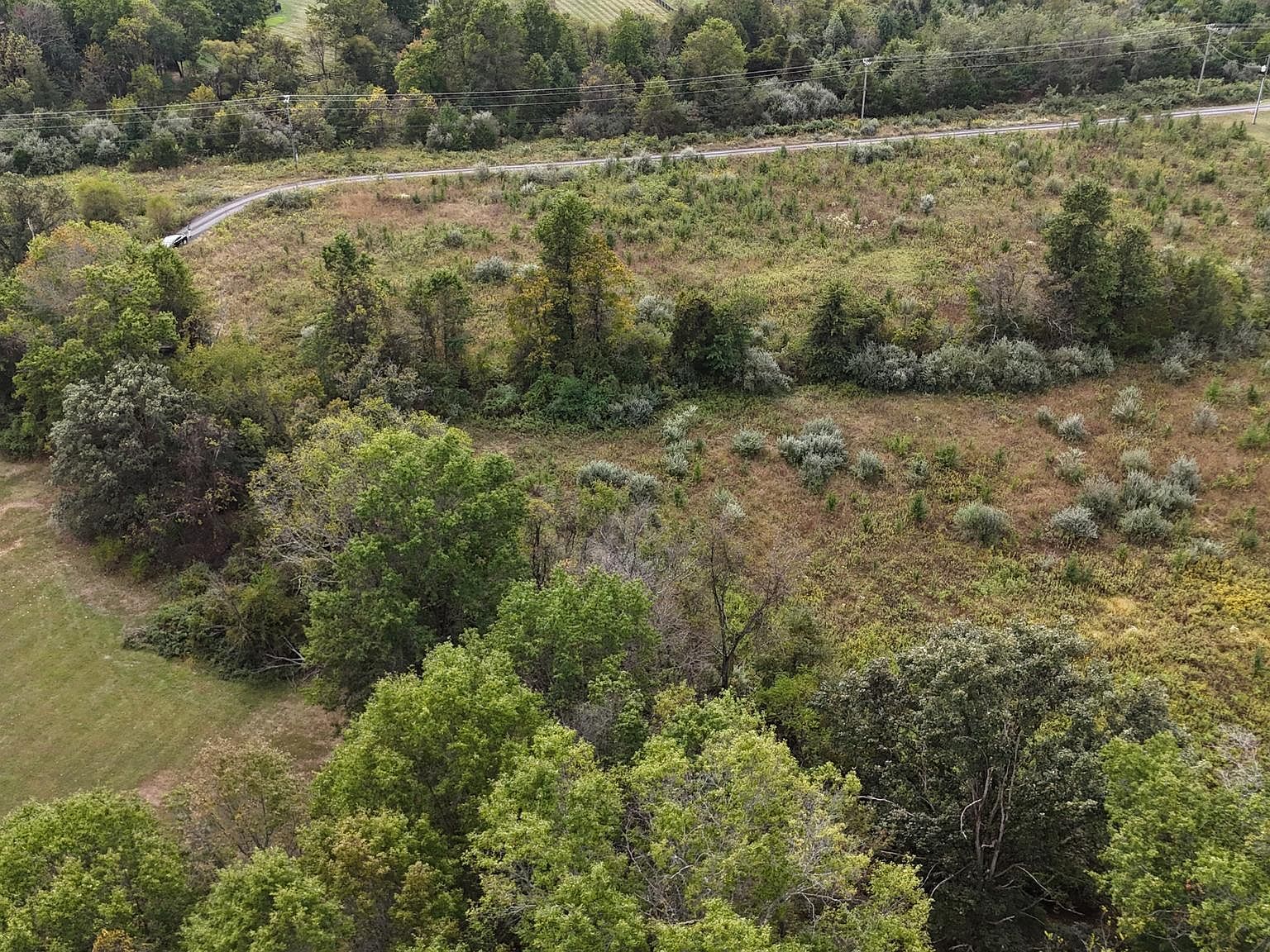 Delta Diamond Ln Leesburg, VA 20175 - Thumbnail 4