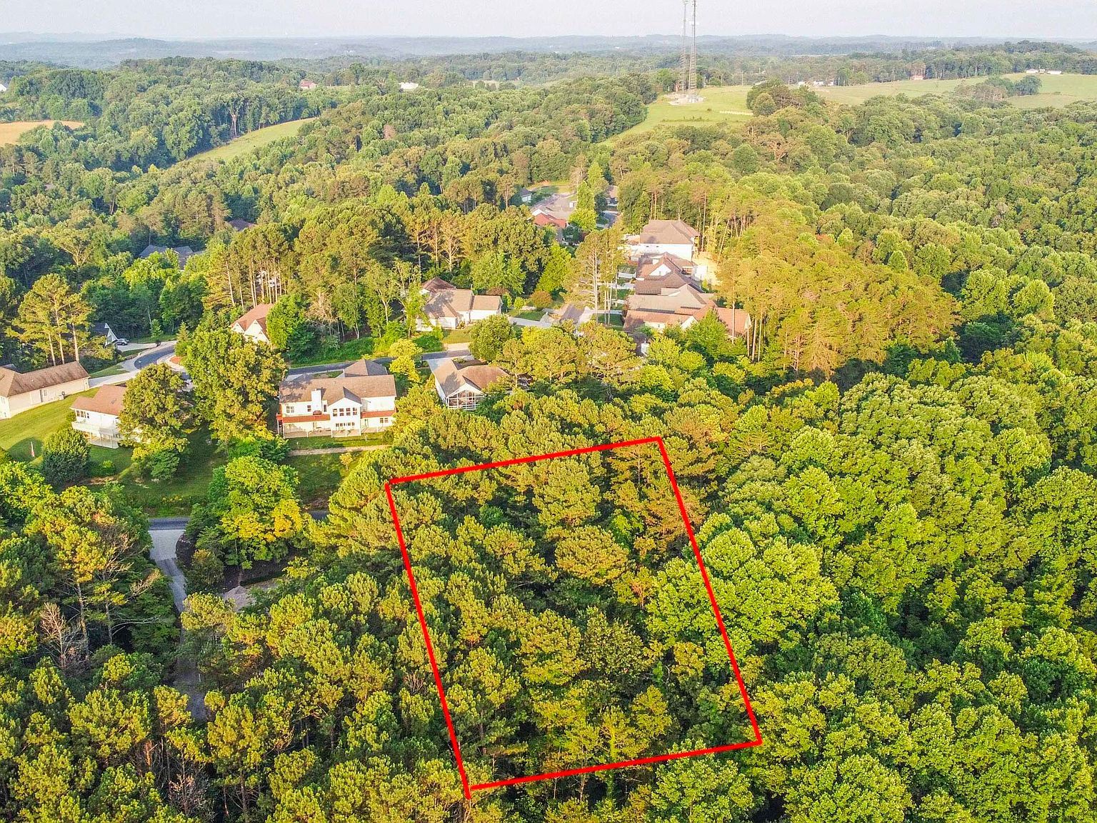 131 Sasa Way Loudon, TN 37774 - Thumbnail 4