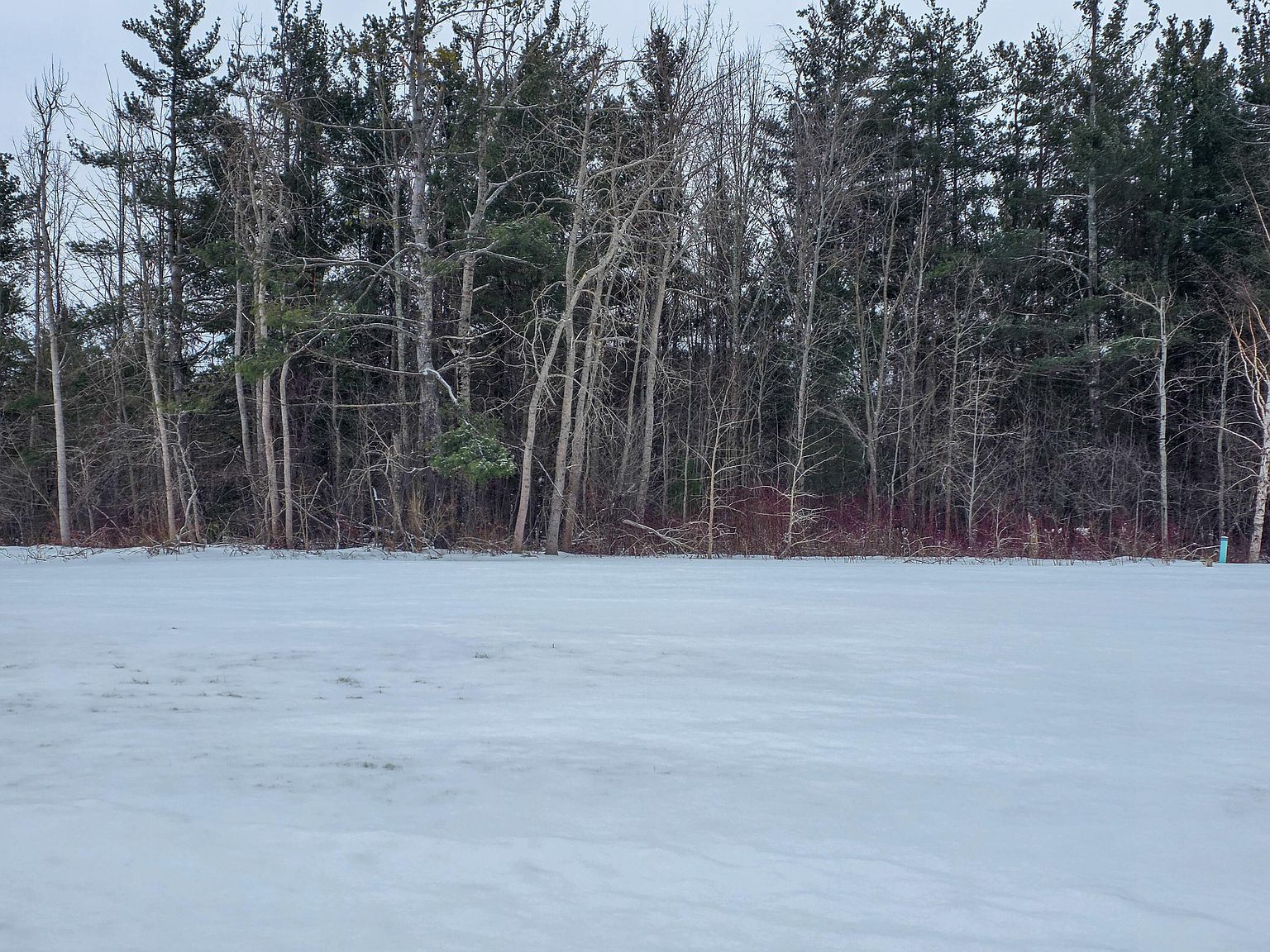 Rivers Ridge Ct Lot 13 Cheboygan, MI 49721 - Thumbnail 4