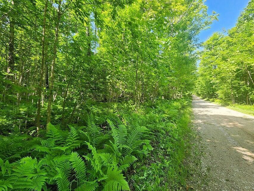 20 Ac Camp 23 Rd Gulliver, MI 49840 - Thumbnail 4