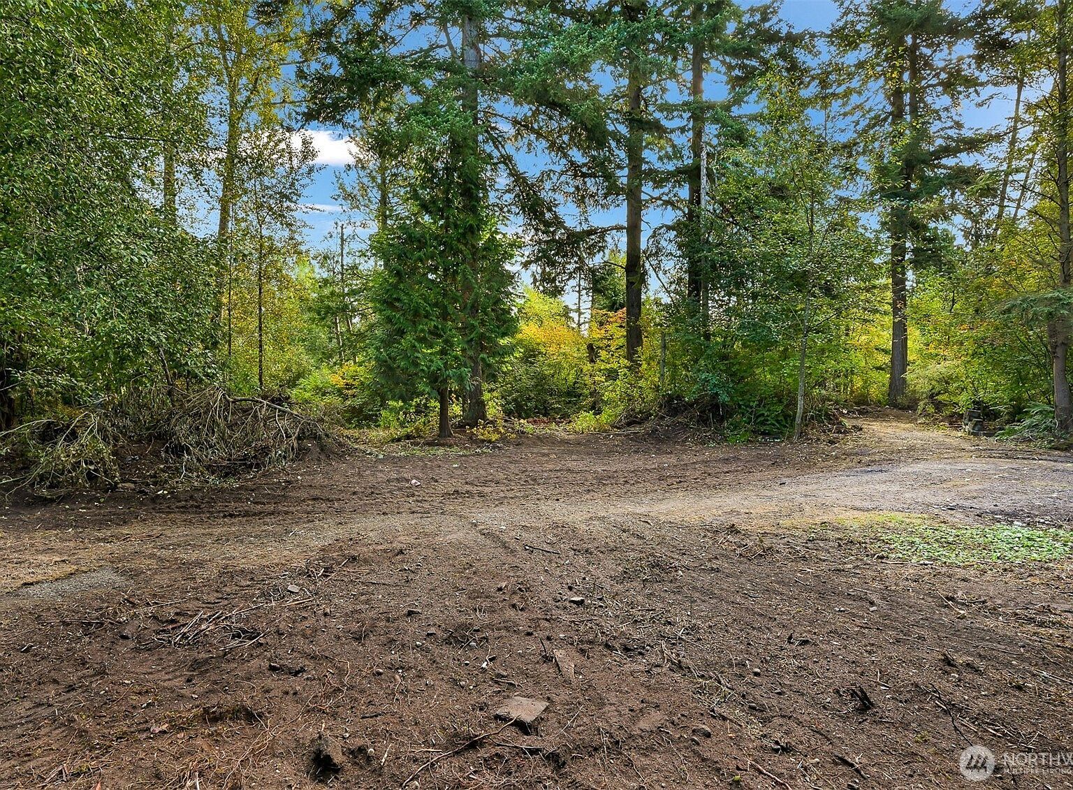 4257 Cody Rd Blaine, WA 98230 - Thumbnail 4