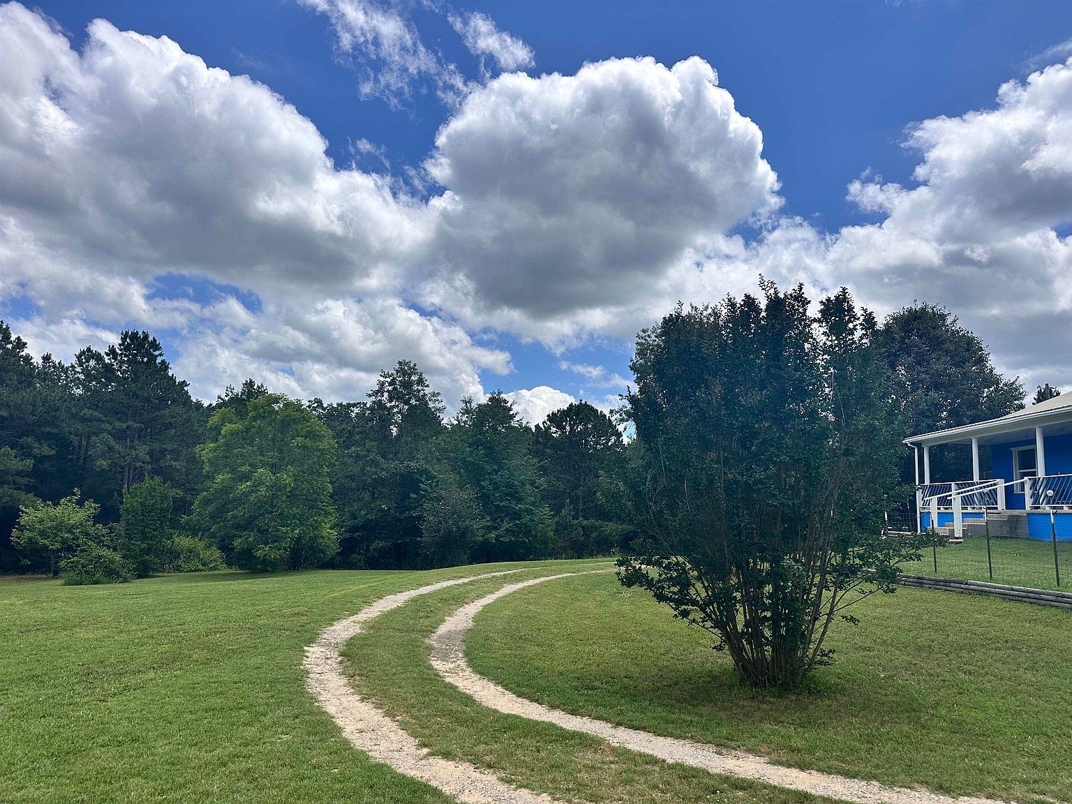 1311 Blevins Abbott Rd Violet Hill, AR 72584 - Thumbnail 4