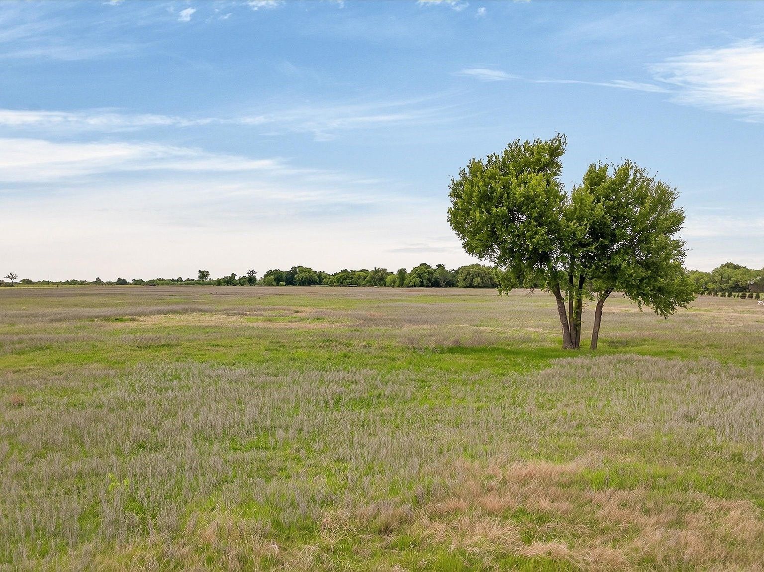 6299 Fm 1195 Mineral Wells, TX 76067 - Thumbnail 4