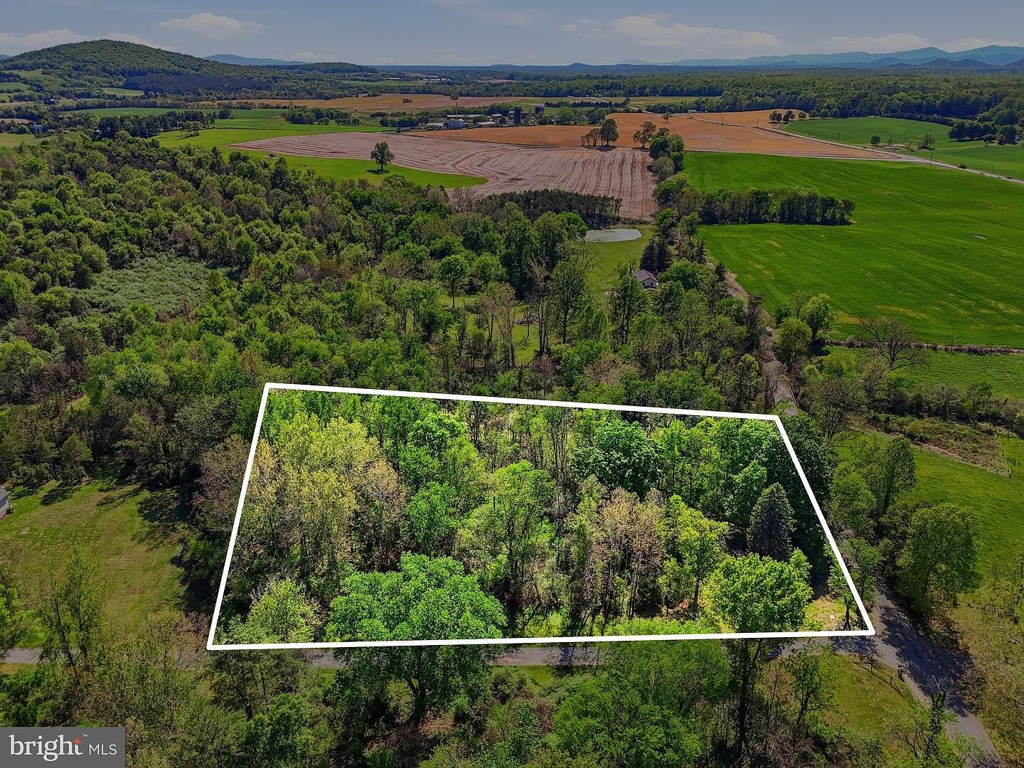 1 Wedgewood Ln Culpeper, VA 22701 - Thumbnail 4