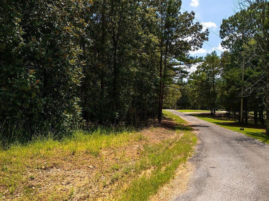 11 Ridgeview Dr Jasper, AL 35504 - Thumbnail 4