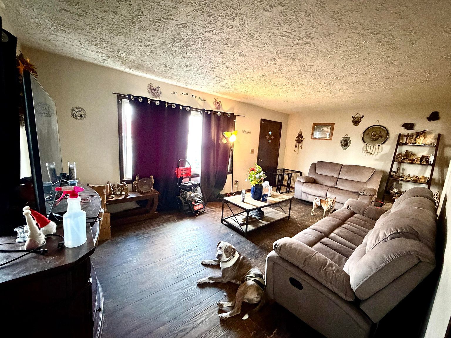 118 Corlis Ave Brooksville, KY 41004 - Thumbnail 4