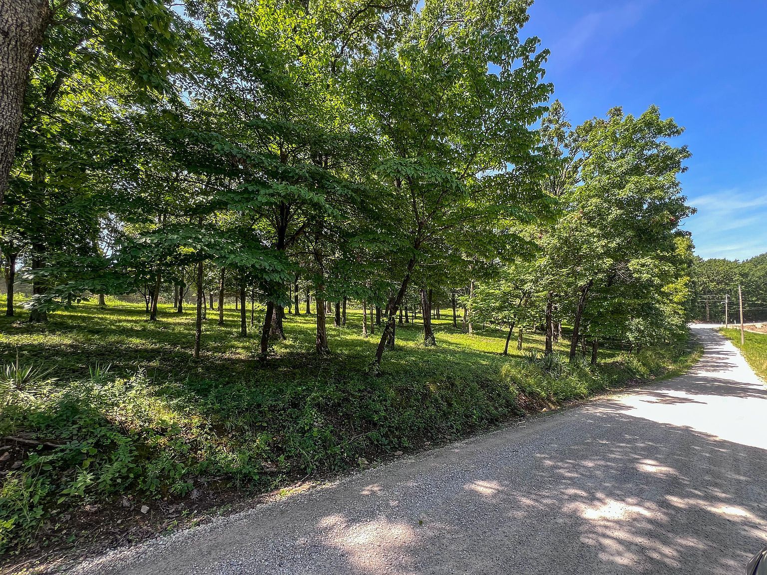 24480 County Road 255 Pittsburg, MO 65724 - Thumbnail 4