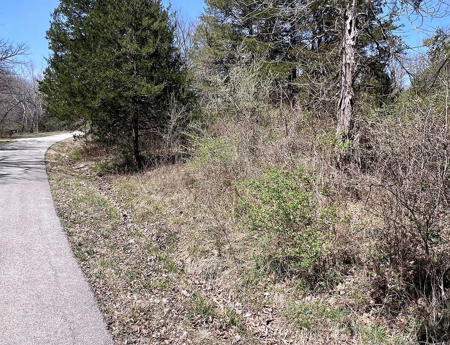 0 Indian Ln Hermitage, MO 65668 - Thumbnail 4