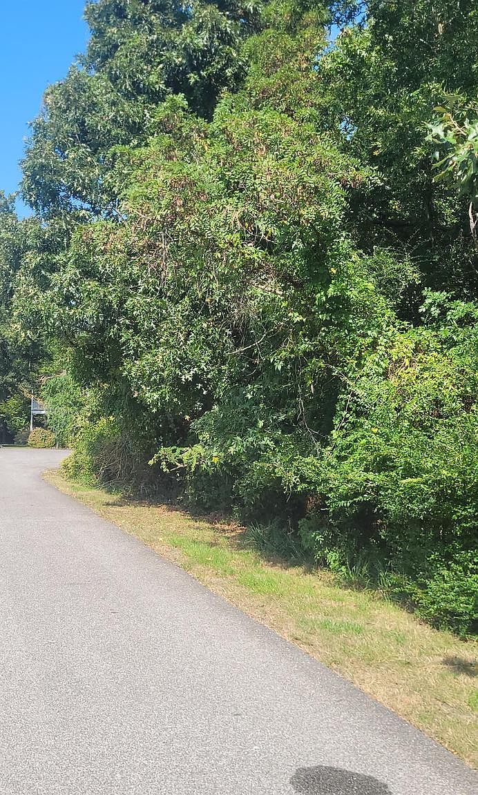 11265 Keokee Ct Issue, MD 20645 - Thumbnail 4