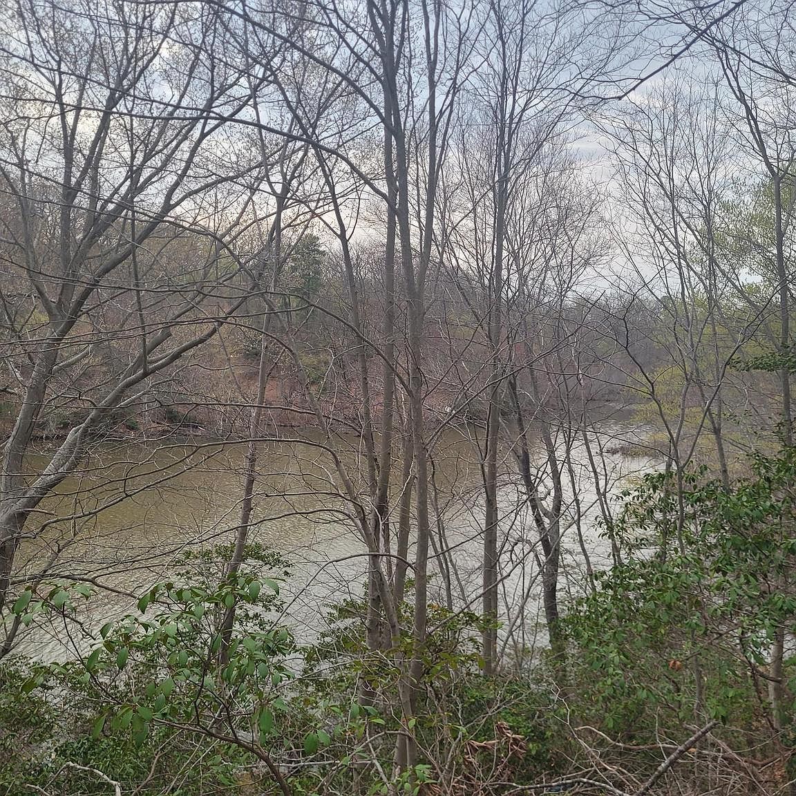 12728 Cordova Ct Lusby, MD 20657 - Thumbnail 4